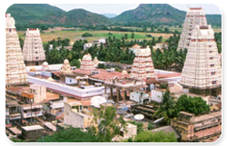 temple_view.jpg