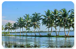 kuttanad.jpg