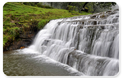 kodaikanal_bearsholafalls.png