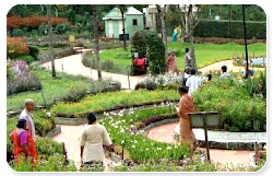 kodaikanal_bryant_park.png