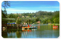 kodaikanal_lake.png