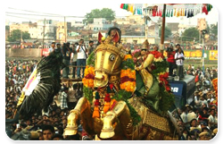 chithirai_festival_resize.jpg