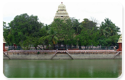 mariamman_teppakulam_resize.jpg