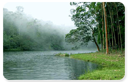 devikulam.jpg