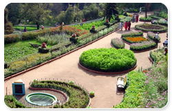 ooty3.png